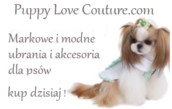 puppy love couture